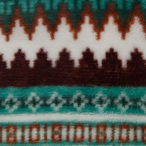Frisco Fairisle Cozy Plush Fleece Dog & Cat PJs, Green, Medium