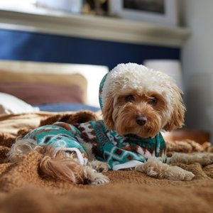 Frisco Fairisle Cozy Plush Fleece Dog & Cat PJs, Green, Medium