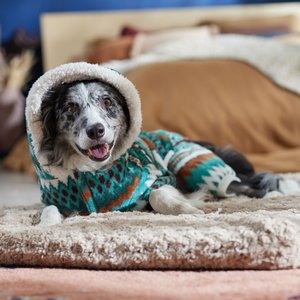 Frisco Fairisle Cozy Plush Fleece Dog & Cat PJs, Green, X-Large