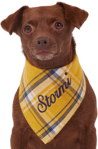 Frisco Fall Yellow Embroidered Personalized Dog & Cat Bandana