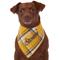 Show in main carousel: Frisco Fall Yellow Embroidered Personalized Dog & Cat Bandana, Large slide 6 of 8