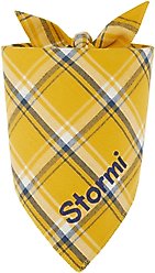 Frisco Fall Yellow Embroidered Personalized Dog & Cat Bandana, Medium