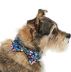 Frisco Fashion Bow, Medium/Large, Tropical Floral