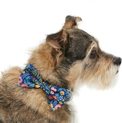 Frisco Fashion Bow, X-Small/Small, Tropical Floral