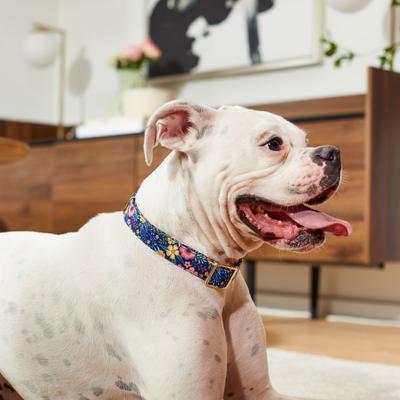 Show full view: Frisco Fashion Dog Collar, LG - Neck: 18-26 in, Width: 1-in, Tropical Floral slide 4 of 6