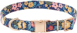 Frisco Fashion Dog Collar, MD - Neck: 14-20-in, Width: 3/4-in, Tropical Floral