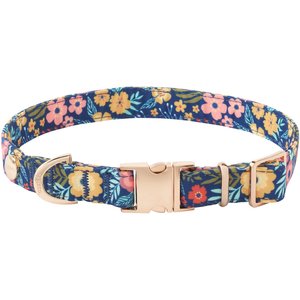 Frisco Fashion Dog Collar, XS - Neck: 8-12-in, Width: 5/8-in, Tropical Floral