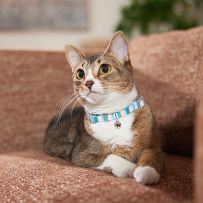 Show full view: Frisco Fashion Floral Polyester Breakaway Cat Collar with Bell, Barcode Stripe Baltic Teal, 8 to 12-in neck, 3/8-in wide slide 5 of 8