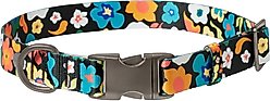 Frisco Fashion Floral Print Polyester Dog Collar with Gunmetal Buckle, Retro Floral, Large/X-Large