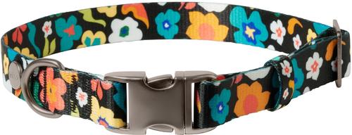 Show full view: Frisco Fashion Floral Print Polyester Dog Collar with Gunmetal Buckle, Retro Floral, Medium slide 1 of 9