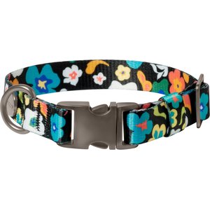 Frisco Fashion Dog Collar