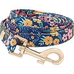 Frisco Fashion Leash, Tropical Floral, Medium