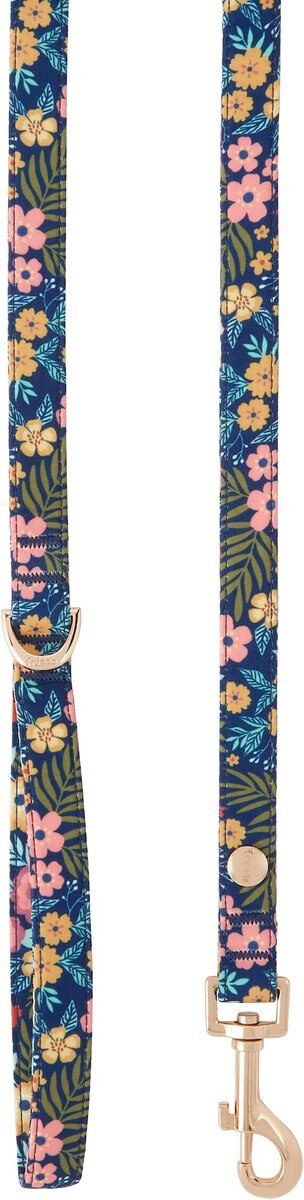 Frisco Fashion Dog Leash, Peachy Petals