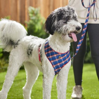 Show full view: Frisco Fashion Over-The-Head Harness, Blue Plaid, Medium slide 5 of 7