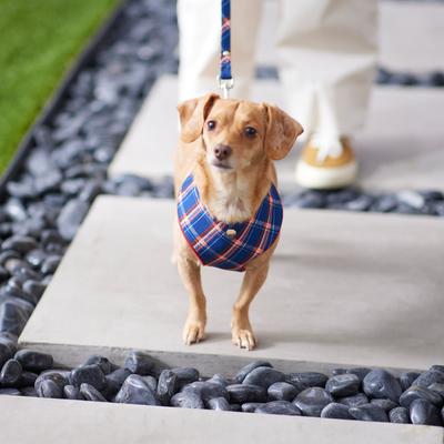 Show full view: Frisco Fashion Over-The-Head Harness, Blue Plaid, Small slide 5 of 7