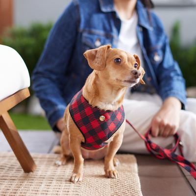 Show full view: Frisco Fashion Over-The-Head Harness, Buffalo Plaid, Small slide 6 of 8