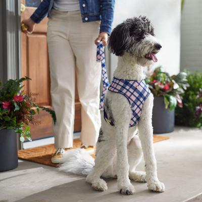 Show full view: Frisco Fashion Over-The-Head Harness, Pink Plaid, Medium slide 5 of 7