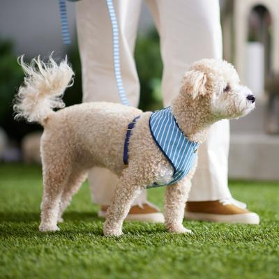 Show full view: Frisco Fashion Over-The-Head Harness, Striped, X-Small slide 6 of 8