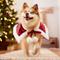 Show in main carousel: Frisco Faux Fur Trimmed Dog & Cat Cape, Medium/Large slide 6 of 10