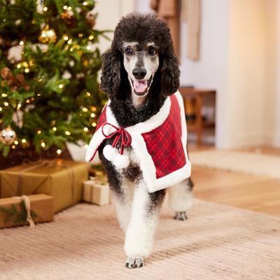 Show full view: Frisco Faux Fur Trimmed Dog & Cat Cape, X-Large/XX-Large slide 6 of 10