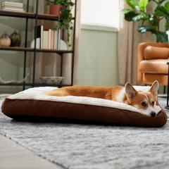 Frisco Faux Suede Pillow Dog Bed with Removable Cover, Brown, Medium