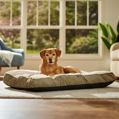 Frisco Faux Suede Pillow Dog Bed with Removable Cover, Khaki Green, X-Large