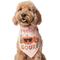 Show in main carousel: Frisco Feelin' Gourd Dog & Cat Bandana, Medium/Large slide 1 of 9