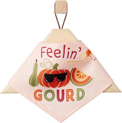 Show full view: Frisco Feelin' Gourd Dog & Cat Bandana, Medium/Large slide 4 of 9