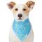Show in main carousel: Frisco Festive Hanukkah Dog & Cat Bandana, X-Small/Small slide 4 of 10