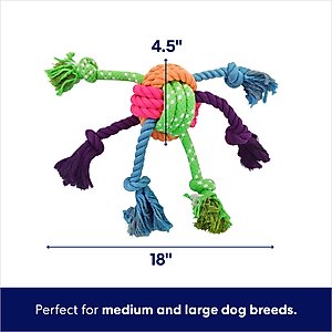 Frisco Fetch Colorful Ball Knot Rope Dog Toy, Medium/Large