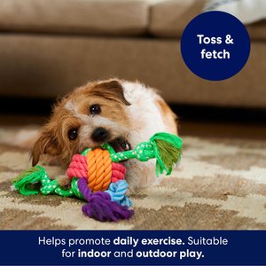 Frisco Fetch Colorful Ball Knot Rope Dog Toy, Medium/Large