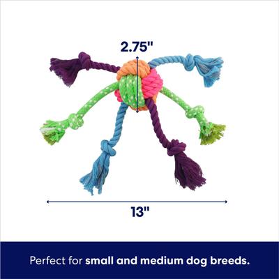 Show full view: Frisco Fetch Colorful Ball Knot Rope Dog Toy, Small/Medium slide 2 of 5