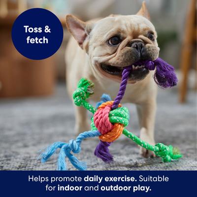 Show full view: Frisco Fetch Colorful Ball Knot Rope Dog Toy, Small/Medium slide 3 of 5