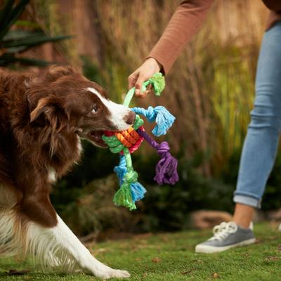 Show full view: Frisco Fetch Colorful Ball Knot Rope + Monkey Plush with Rope Squeaky Dog Toy slide 3 of 9