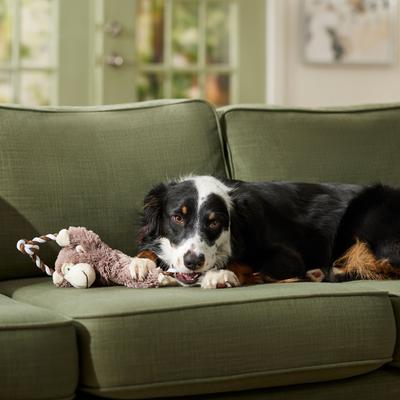 Show full view: Frisco Fetch Colorful Ball Knot Rope + Monkey Plush with Rope Squeaky Dog Toy slide 8 of 9