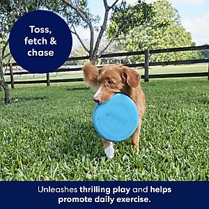 Frisco Fetch Rubber Flyer Dog Toy, Medium/Large
