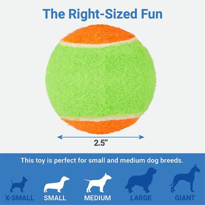 Show full view: Frisco Fetch Squeaking Colorful Tennis Ball, 3-Pack + Project Hive Pet Company Ball Dog Toy slide 3 of 9