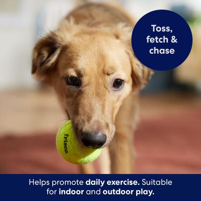 Show full view: Frisco Fetch Squeaky Tennis Ball Dog Toy, Large, 1 count slide 4 of 7