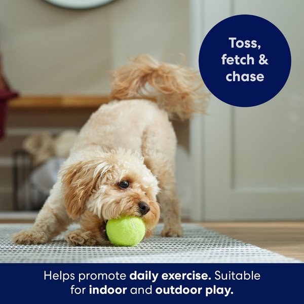 Show full view: Frisco Fetch Squeaky Tennis Ball Dog Toy, Medium, 1 count slide 4 of 7