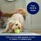Show in main carousel: Frisco Fetch Squeaky Tennis Ball Dog Toy, Medium, 1 count slide 4 of 7