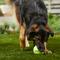 Show in main carousel: Frisco Fetch Squeaky Tennis Ball Dog Toy, X-Large, 1 count slide 3 of 4