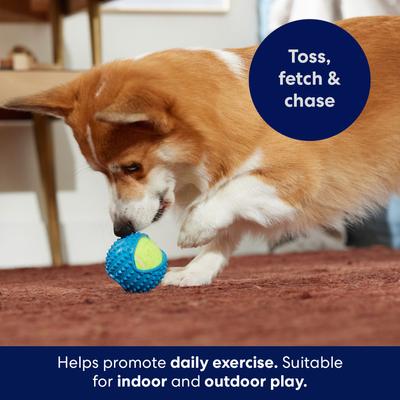 Show full view: Frisco Fetch Squeaky Tennis Ball with Rubber Sleeve Dog Toy, Medium slide 5 of 8