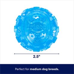 Frisco Fetch Squeaky TPR Ball Dog Toy, Blue, Medium, 1 count slide 2 of 6