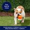 Show in main carousel: Frisco Fetch Squeaky TPR Ball Dog Toy, Orange, Large, 1 count slide 5 of 7