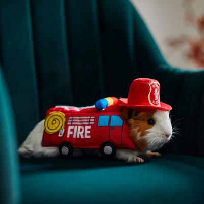 Show full view: Frisco Firetruck Guinea Pig Costume, One Size, Red slide 6 of 8