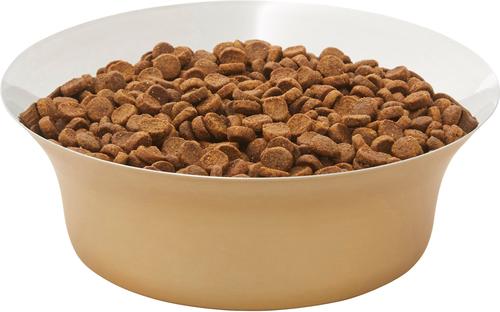 Show full view: Frisco Flare Dog & Cat Bowl, Gold, Large: 7 cup, 1 count slide 4 of 11