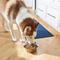 Show in main carousel: Frisco Flare Dog & Cat Bowl, Gold, Large: 7 cup, 1 count slide 7 of 11