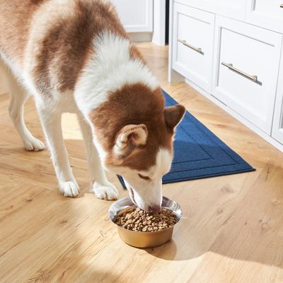 Show full view: Frisco Flare Dog & Cat Bowl, Gold, Large: 7 cup, 1 count slide 7 of 11