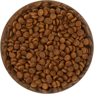 Show full view: Frisco Flare Dog & Cat Bowl, Gold, Medium: 4 cup, 1 count slide 6 of 12