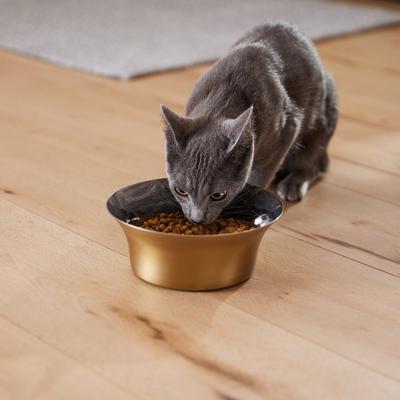 Show full view: Frisco Flare Dog & Cat Bowl, Gold, Medium: 4 cup, 1 count slide 9 of 12